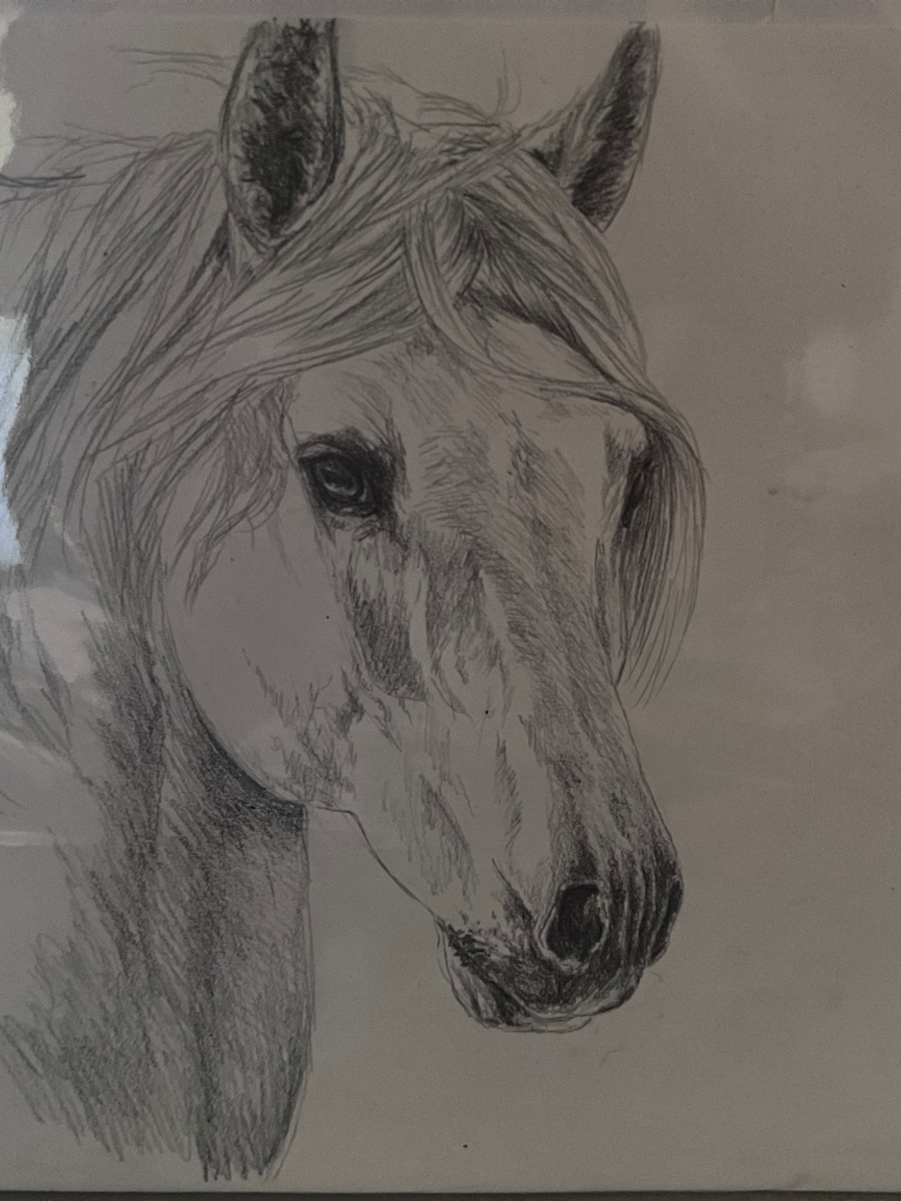 Hand sketched Horse drawing